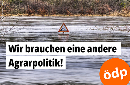 Überschwemmung. Ein Verkehrsschild steht bis zur unteren Kante im Wasser.