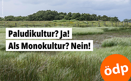 Moor mit moortypischer Vegetation