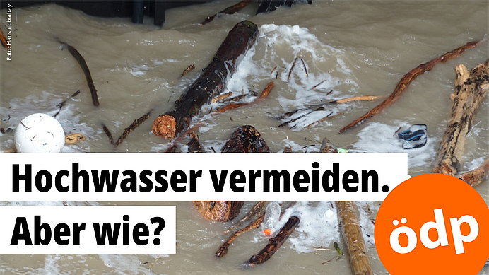 Äste und ein weißer Ball werden vom Hochwasser mitgerissen